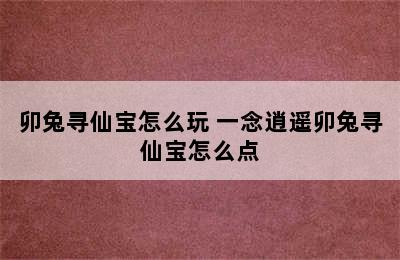 卯兔寻仙宝怎么玩 一念逍遥卯兔寻仙宝怎么点